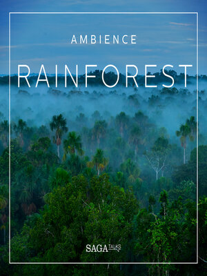 cover image of Ambience: Rainforest